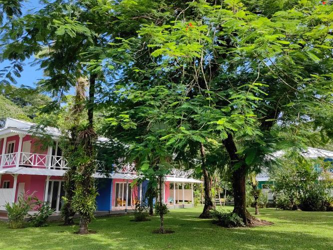 Tortuga Lodge&Gardens Tortuguero Quarto foto