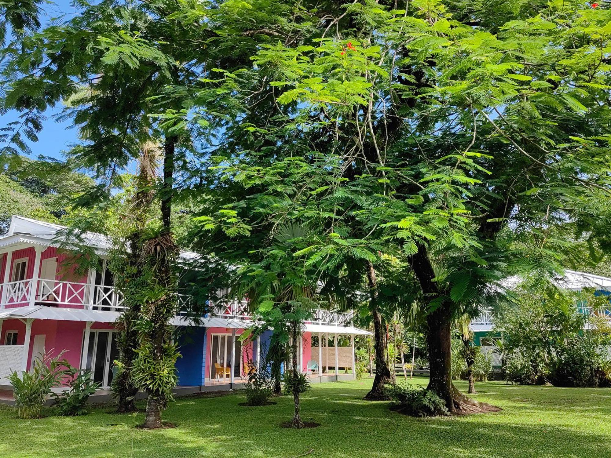Tortuga Lodge&Gardens Tortuguero Exterior foto
